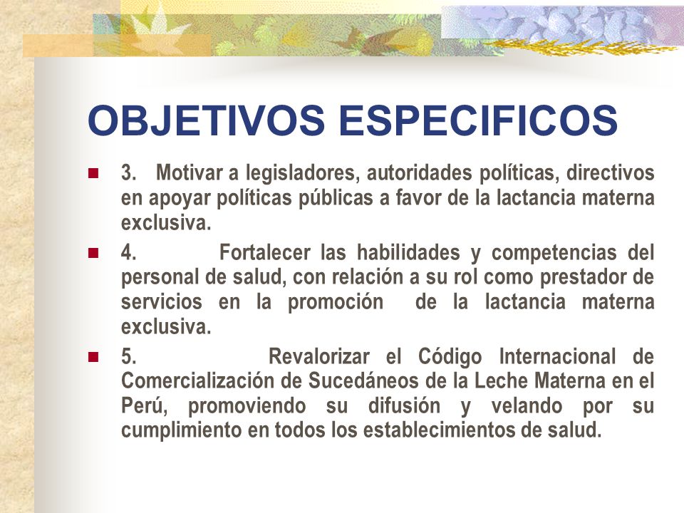 objetivo de charla sobre lactancia materna objetivo de charla sobre lactancia materna